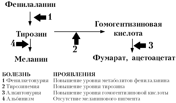 Prenatal.gif (8725 bytes)